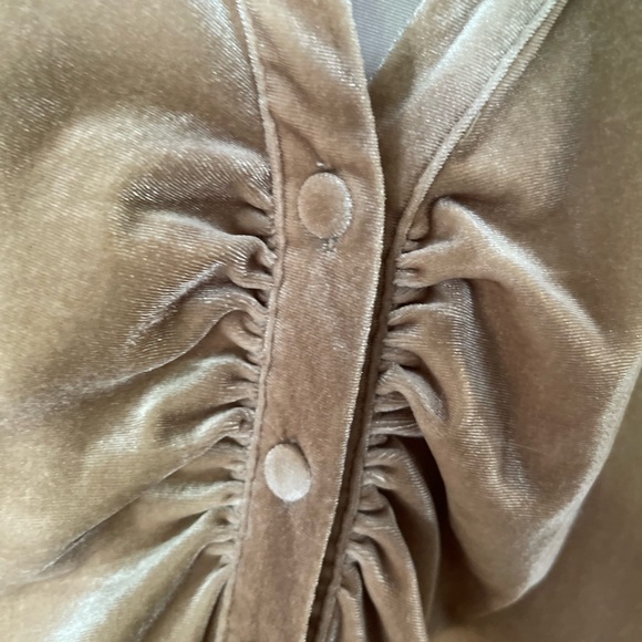 Velvet Ruched Tan Top - Picture 5 of 5